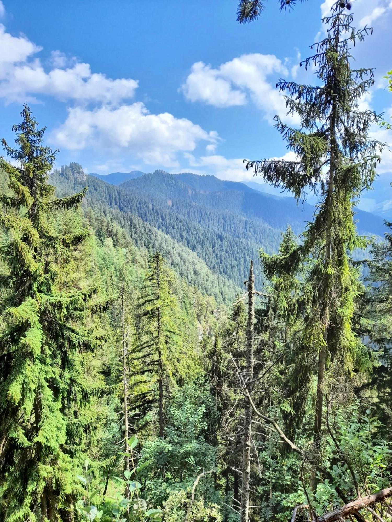 Demian Chalet Demanovska Dolina